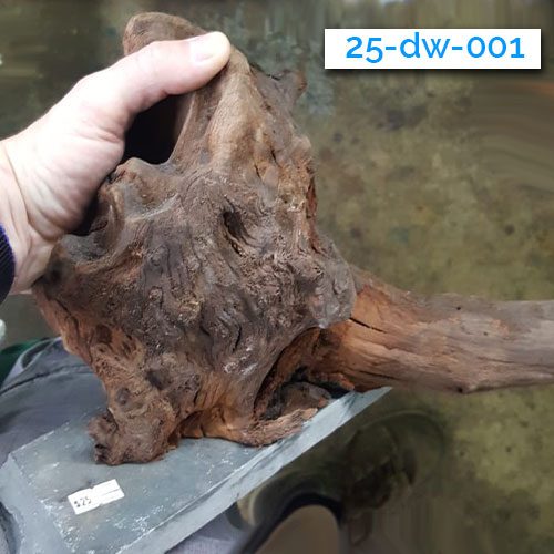 003-driftwood-wattley-discus