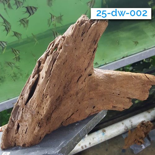 003-driftwood-wattley-discus