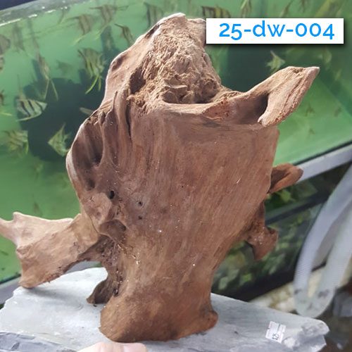 003-driftwood-wattley-discus