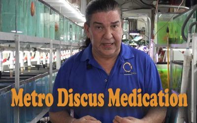 Metro Discus Medication (metronidazole)