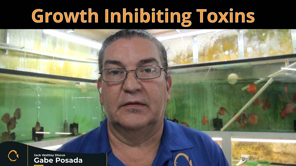 Growth Inhibiting Toxins