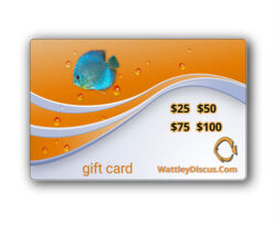 Wattley Discus Gift Card