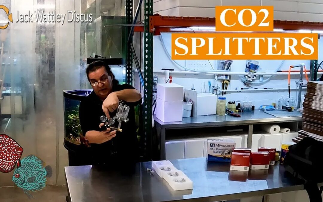 CO2 Splitters