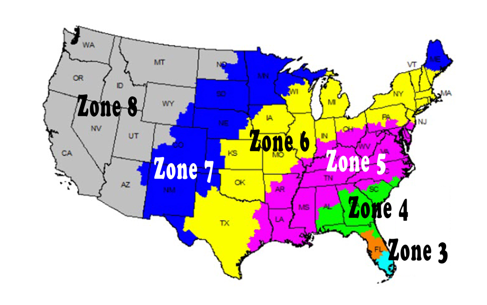 Jack Wattley Discus | Shipping Zone Map